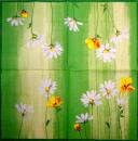 142 Daisies  - 3-ply - Ihr
